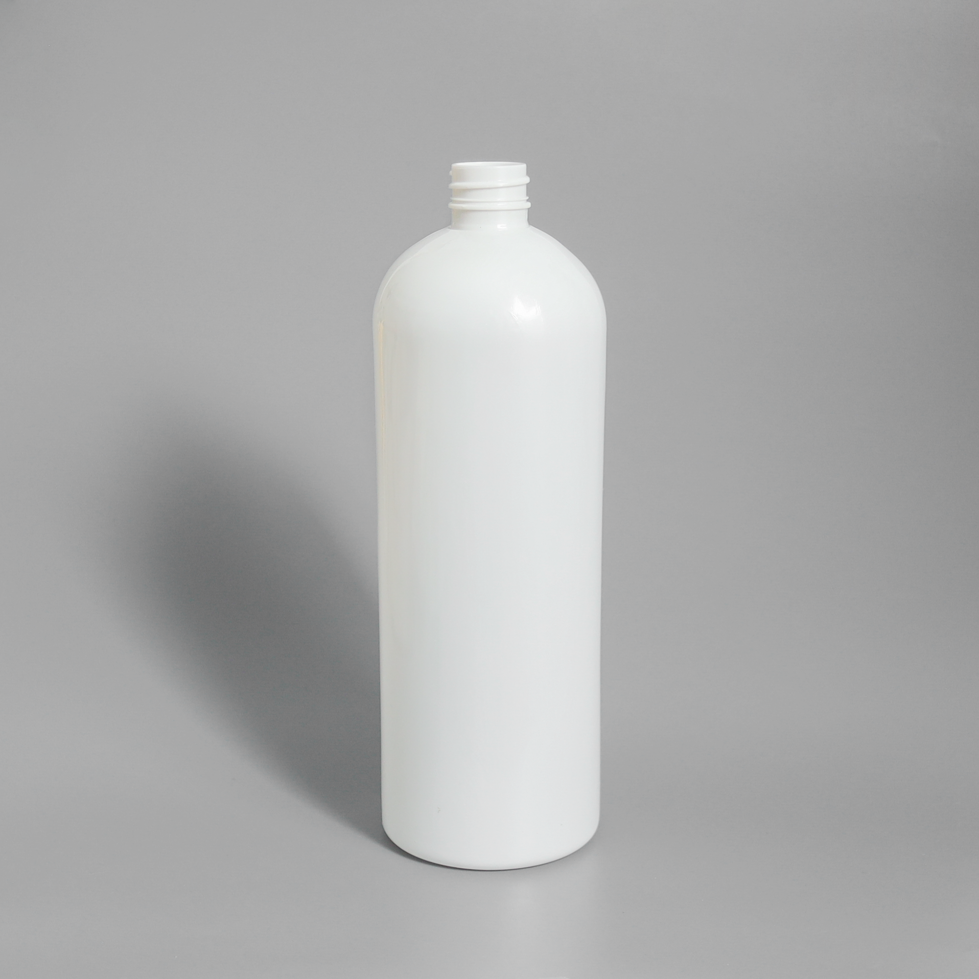 1G4A2548-2